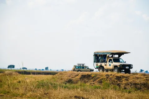 5-Day Mikumi and Nyerere Adventure Safari from Dar gallery image