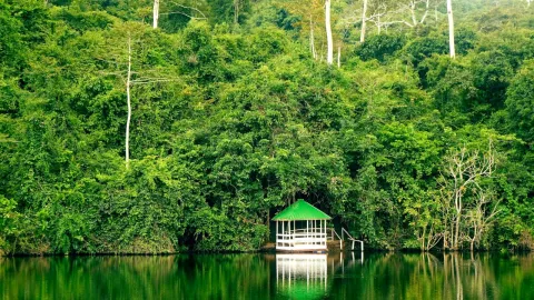 1-Day Pugu Hills Forest Day Tour from Dar Es Salaam gallery image