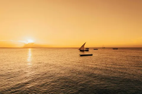 1-Day Zanzibar Mangrove Kayaking and Uzi Village Tour gallery image