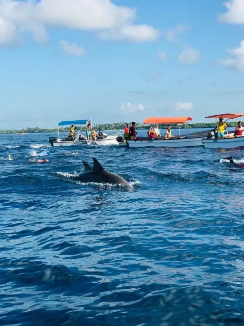 4-Day Zanzibar Safari Blue & Stone Town gallery image