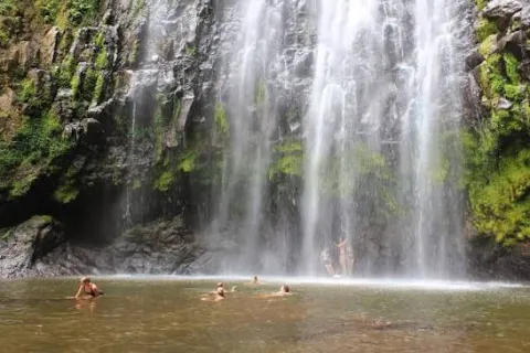 1-Day Materuni Waterfall + Coffee Tour & Local Lunch gallery image