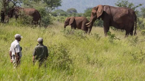 2-Day Arusha N.P + Walking Safari + Materuni Waterfall gallery image