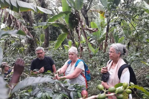 1-Day Marangu Village Hike & Cultural Tour gallery image