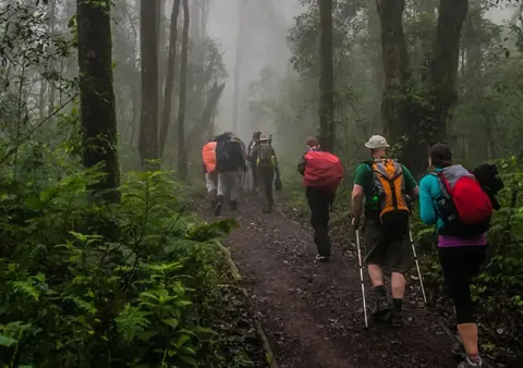 6-Day Marangu Route Trek Mount Kilimanjaro gallery image