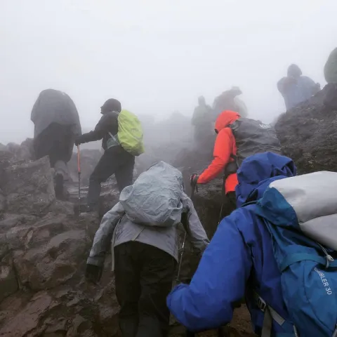 7-Day Lemosho Route Trek Mount Kilimanjaro gallery image
