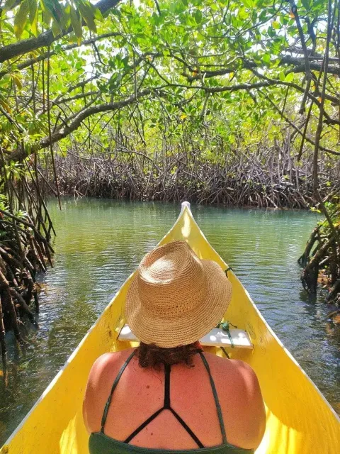 5-Day Andasibe Wildlife Tour with Palmarium Reserve gallery image