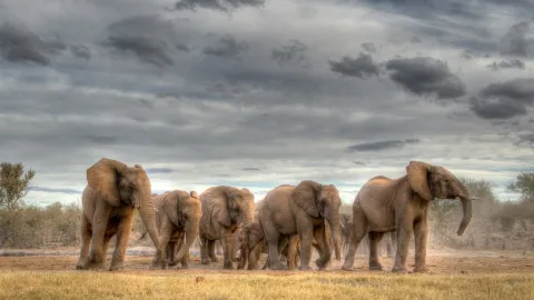 3-Day Adventure Safari to Murchison Falls National Park gallery image