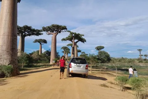 14-Day Tour to Tsingy Park Baobab Andasibe with Nosy Be gallery image