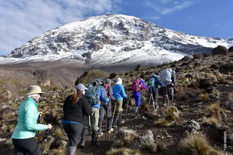 9-Day Mount Kilimanjaro Climbing Adventure Via the Northern C gallery image