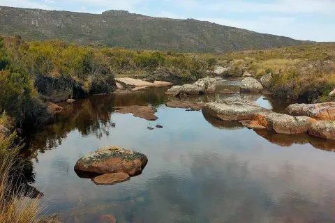 16-Day Grand Adventure Wildlife and Mountain Trek gallery image