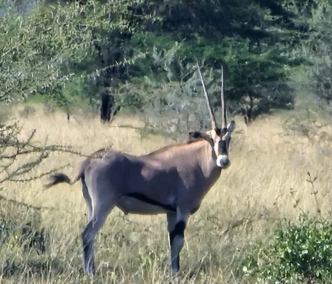 7-Day Ethiopia Wildlife Safari Tours gallery image