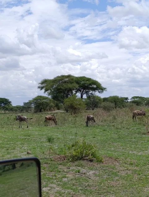 7-Day Luxury Safari and Cultural Tour gallery image