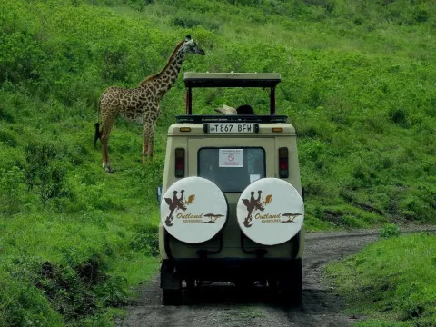 2-Day Safaris in Arusha and Tarangire National Parks. gallery image