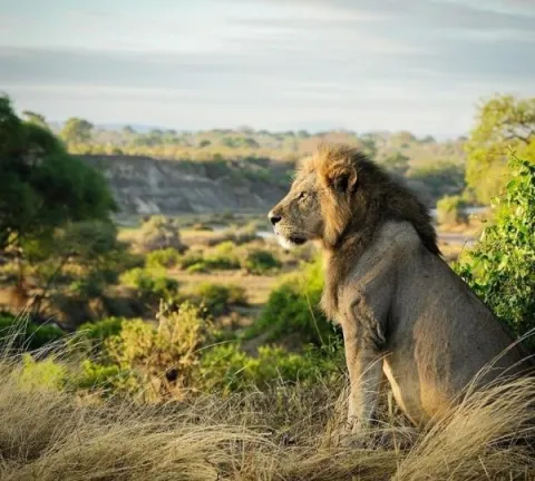 2-Day Safaris in Arusha and Tarangire National Parks. gallery image
