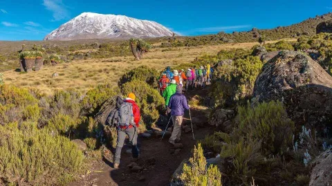 5-Day Kilimanjaro Climbing Adventure Via Marangu Route gallery image