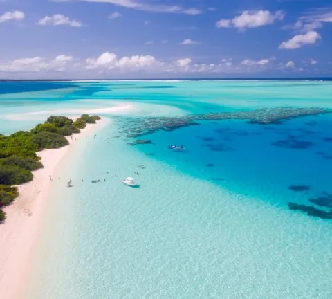 10-Day Luxury Wildlife and Zanzibar Beach Escape gallery image