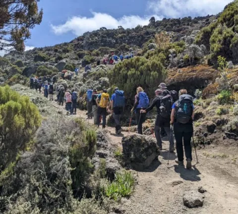 7-Day Mount Kilimanjaro Trekking – Marangu Route gallery image