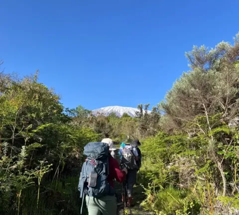 7-Day Mount Kilimanjaro Trekking – Marangu Route gallery image