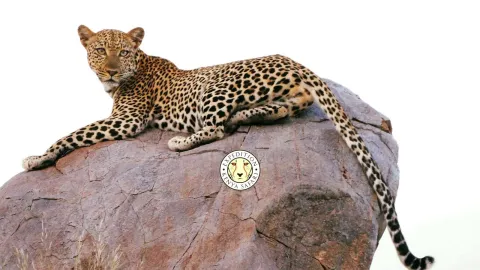 11-Day Private Kenya Safari: Samburu to Maasai Mara gallery image