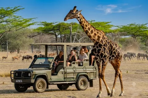 3-Day Zanzibar: Private Nyerere Safari By Ferry & Open Jeep gallery image