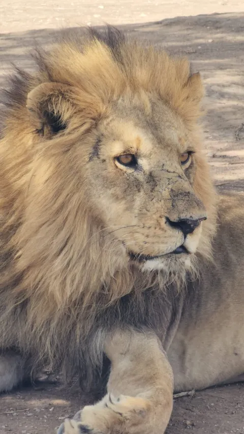 3-Day Fly in Tarangire, Ngorongoro, and Lake Manyara gallery image