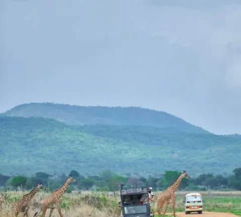 5-Day Best Safari Maasai Visit- Cultural Tour gallery image