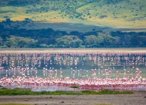 5-Day Wildlife Safari and Cultural Experience Tour gallery image
