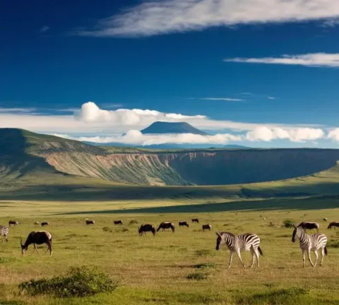 4-Day Tanzania Big 5 Budget Tour gallery image