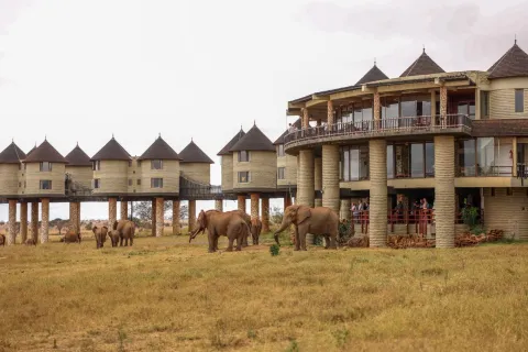 3-Day Exclusive Tsavo East and Saltlick Safari Experience gallery image