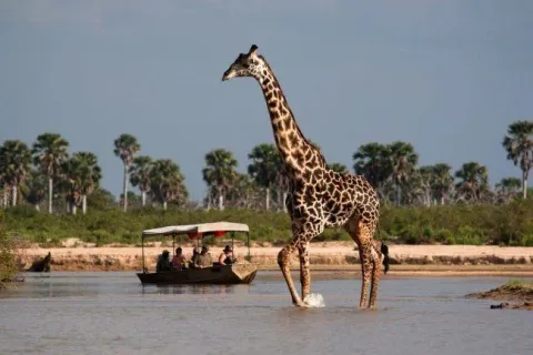 2-Day Dar Es Salaam to Nyerere N.P Open Jeep & Boat Safari gallery image