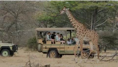 2-Day Dar Es Salaam to Nyerere N.P Open Jeep & Boat Safari gallery image