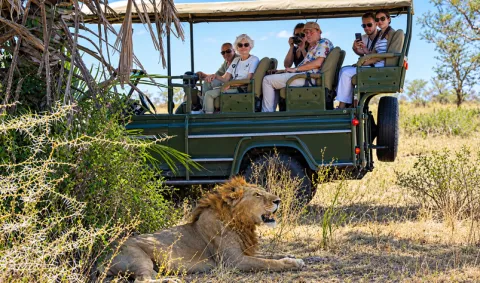 2-Day Zanzibar to Mikumi N.P Luxury Safari By Open Jeep gallery image