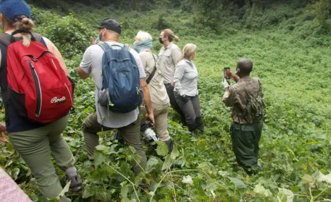 3-Day Bwindi Gorilla Trekking Safari from Kigali, Rwanda gallery image