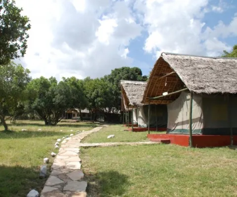 3-Day Masai Mara Budget Shared Tour gallery image