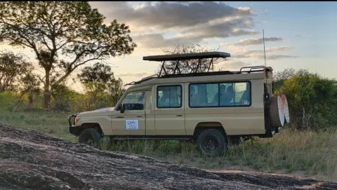 3-Day Masai Mara Budget Shared Tour gallery image