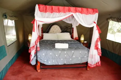 3-Day Masai Mara Budget Shared Tour gallery image