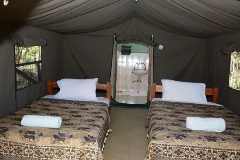 3-Day Masai Mara Budget Shared Tour gallery image