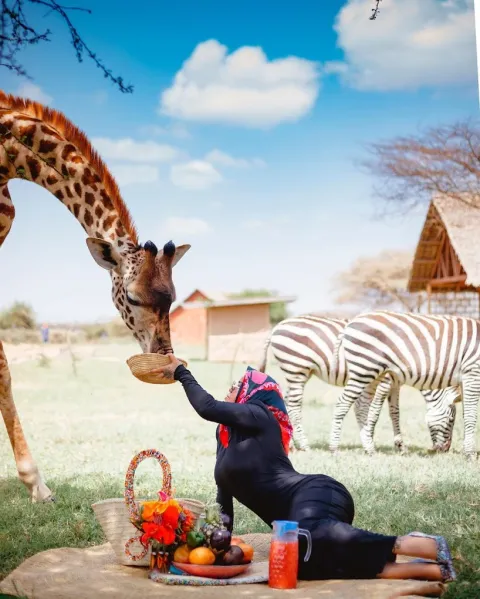 1-Day Serval Wildlife Sanctuary Experience gallery image