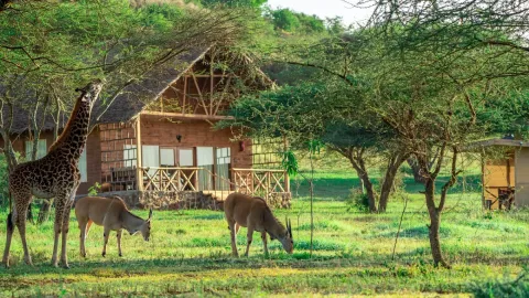 1-Day Serval Wildlife Sanctuary Experience gallery image