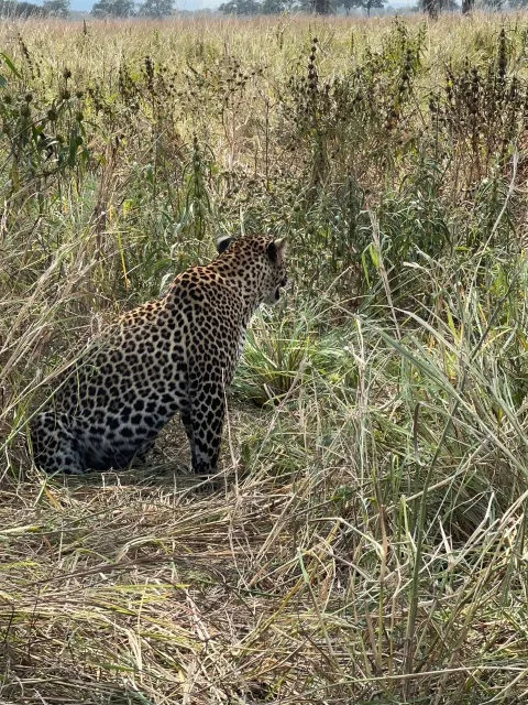 2-Day Mikumi National Park Adventure gallery image