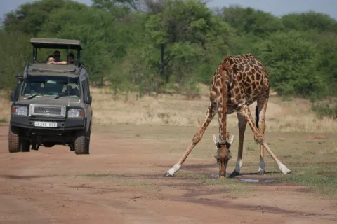 4-Day Serengeti Big Five Safari gallery image