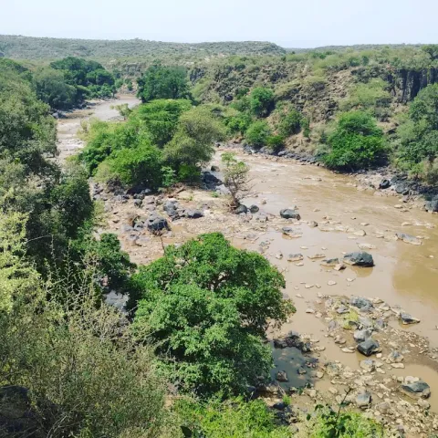 3-Day Awash National Park Wildlife Safari in Ethiopia gallery image