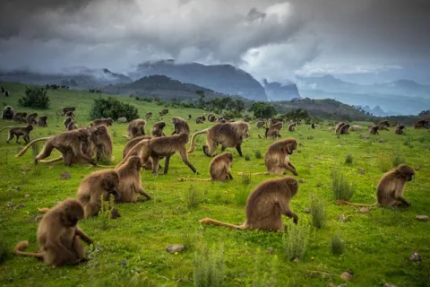 14-Day Ethiopia Historic Route and Omo Valley Adventure gallery image