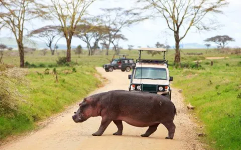 5-Day Tanzania Safari, Waterfalls and Coffee Tour gallery image