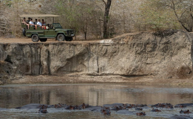 2-Day Amazing Luxury Safari Inside Nyerere NP (Selous) safari tour