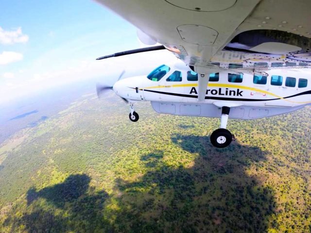 2-Day Fly in Private Safari to Nyerere NP from Zanzibar safari tour