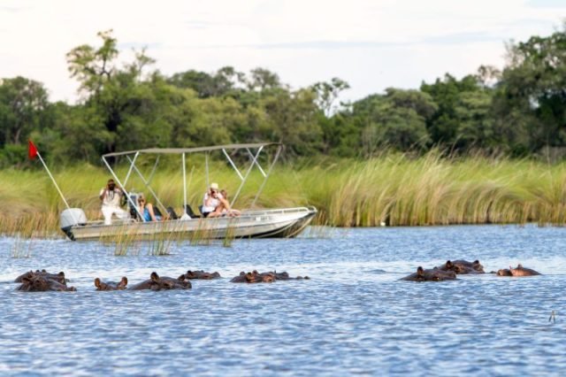 2-Day Safari Dar Es Salaam to Selous (Nyerere NP safari tour