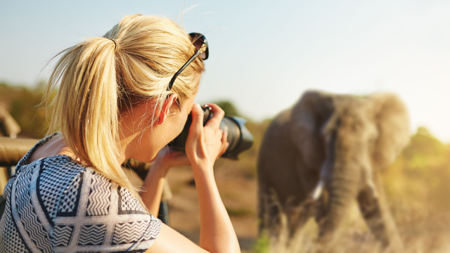 4-Day Mikumi and Nyerere Safari with Boat and Walking Safari safari tour
