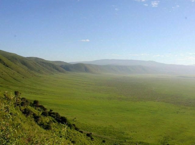 2-Day - Tarangire National Park and Ngorongoro safari tour