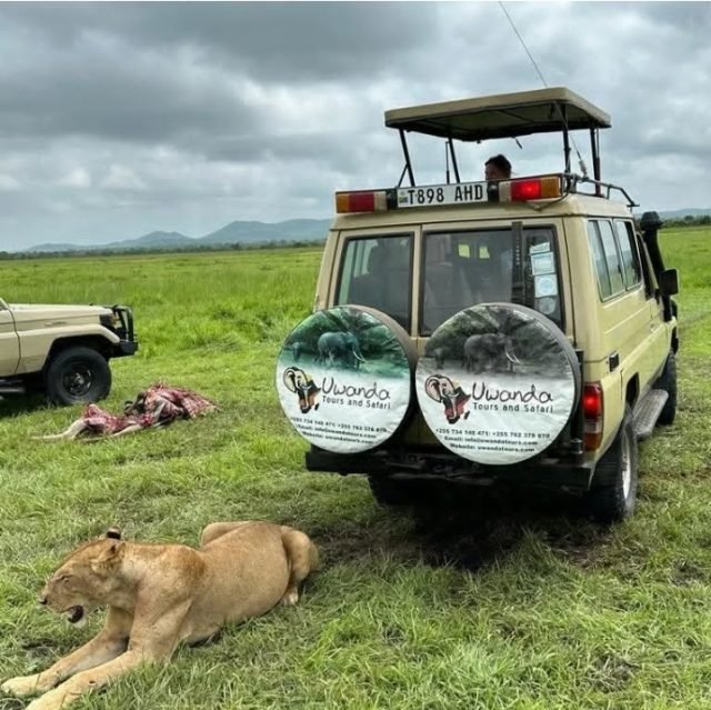 8-Day Game Drive Focus Southern Tanzania & Fly Zanzibar safari tour